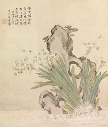 水仙、岩、蜂、霊芝